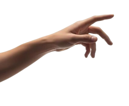 main interactive